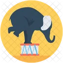 Circus Elephant Animal Icon