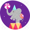 Circus Animal Circus Animal Circus Elephant Icon