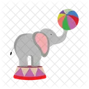 Circus Elephant Circus Circus Animal Icon