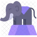 Circus Elephant Mammal Icon