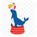 Circus Seal Circus Animal Circus Show 아이콘