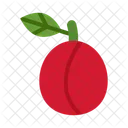 Ciruela Fruta Comida Icono