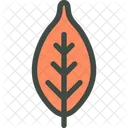 Ciruela Hoja Naturaleza Icono