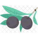 Ciruela  Icono