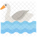 Cisne Animal Lindo Icon