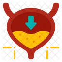 Cistitis  Icono