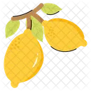 Frais Alimentaire Naturel Icône