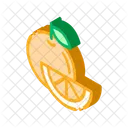 Food Orange Healthy Icon