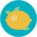 Citrus Fruit Food Icon