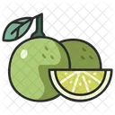 Citrus  Icon