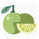Fruit Vegan Citrus Icon