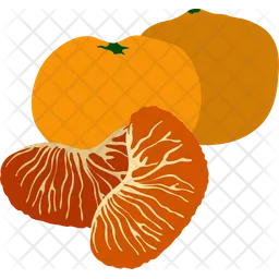 Citrus  Icon