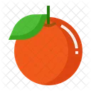 Orange Citrus Sour Icon