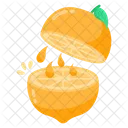 Citrus Fruit  Icon