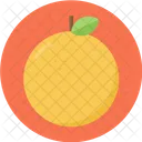 Citrus Fruit Fresh Icon