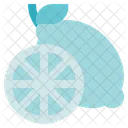 Allergy Medical Citrus Icon