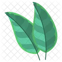 Citrus  Icon