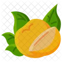 Citrus  Icon