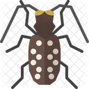 Citrus Long Horned Beetle  Icon