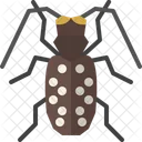 Citrus Long Horned Beetle Icon