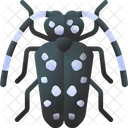 Citrus Long Horned Beetle Beetle Wild Icon