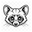 Civet Mammal Nocturnal Icon