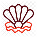 Clam  Icon