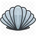 Clam Shell Icon