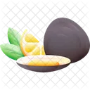 Clam Shell Sea Icon