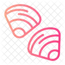 Clam Animal Icon