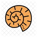 Clam Shell Color Icon