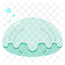 Clam Shell Animal Icon