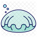 Clam  Icon