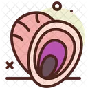 Clam Shell Food Icon