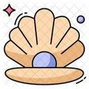 Clam  Icon