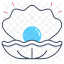 Clam  Icon