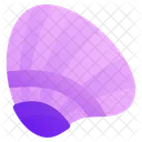 Clam Shellfish Seashell Icon