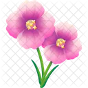Clarkia  Icon
