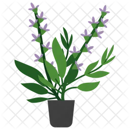 Clary Sage Plant  Icon