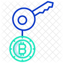 Clave Clave Bitcoin Clave Digital Icono