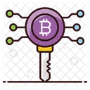 Clave Bitcoin Clave Digital Clave De Cifrado Icono