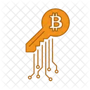 Clave Bitcoin Clave Digital Bitcoin Seguro Icono