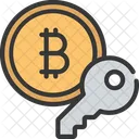 Clave bitcoin  Icono