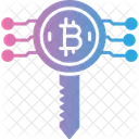 Bitcoin Criptomoneda Clave Icono