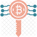 Bitcoin Criptomoneda Clave Icono