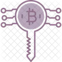 Bitcoin Criptomoneda Clave Icono