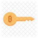 Clave bitcoin  Icono