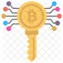 Clave bitcoin  Icono