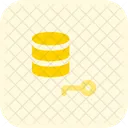 Clave de base de datos  Icon