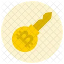 Llave pública  Icon